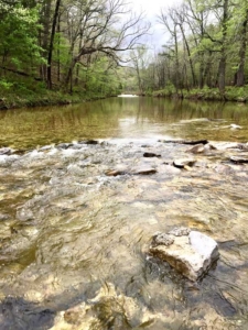Sylamore Creek
